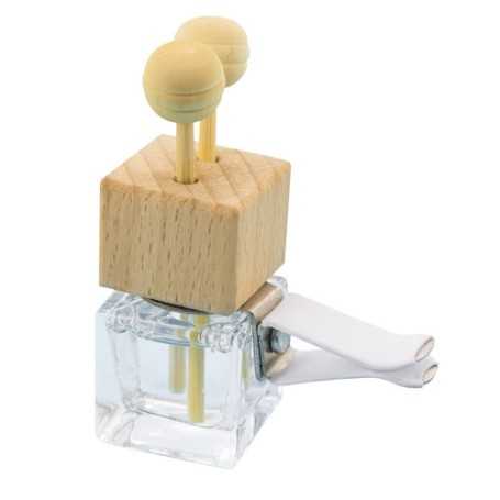 DEODORANTE PER AUTO ANT 10254|Accessori veicoli|StampaFast