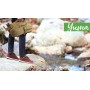 ZAINO MONTAGNA YUMA 10490