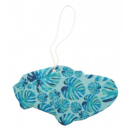 Deodorante auto Multicolore