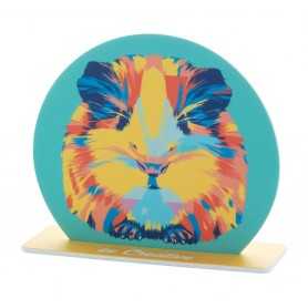 Display, cerchio Bianco