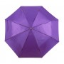Ombrello Viola