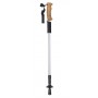 Bastone tracking nordico Argento
