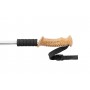 Bastone tracking nordico Argento