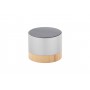 Cassa bluetooth Argento