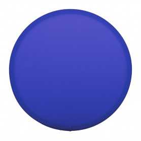 Frisbee in RPET Blu