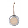 Cassa bluetooth Argento