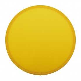 Frisbee in RPET Giallo