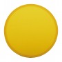 Frisbee in RPET Giallo