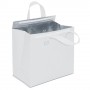 BORSA FRIGO BUFFET 10695|Borse termiche|StampaFast