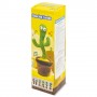CACTUS BALLERINO PANCHITO 10634|Giochini e giochi da tavolo|StampaFast