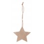 Decorazione natalizia, stella Naturale
