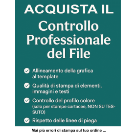 Controllo professionale File