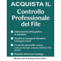 Controllo professionale File