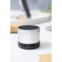 Altoparlante wireless Argento