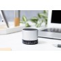 Altoparlante wireless Argento