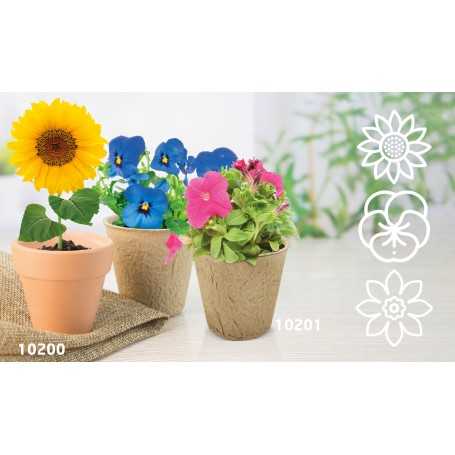 VASO CON SEMI BIO RAMILLETE (COSMEA) 10201|Eco-Green|StampaFast